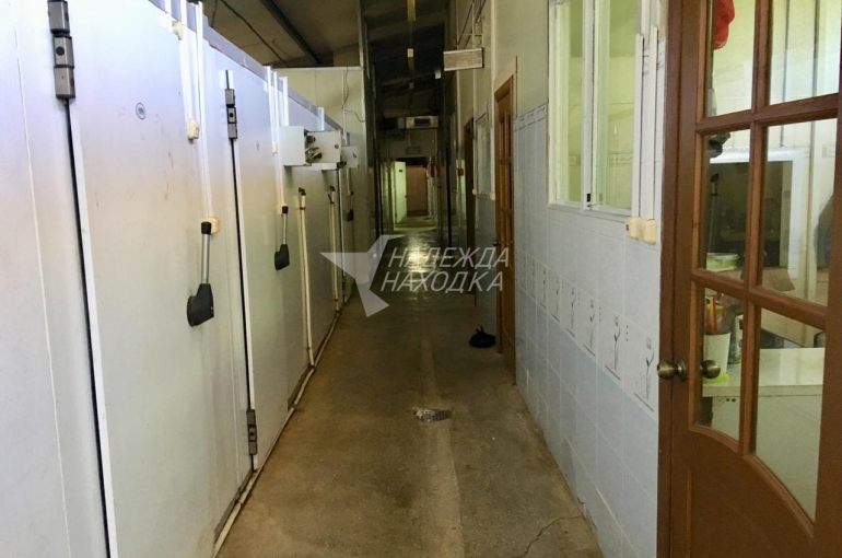 Аренда Цех по приготовлению салатов на Ленинской 