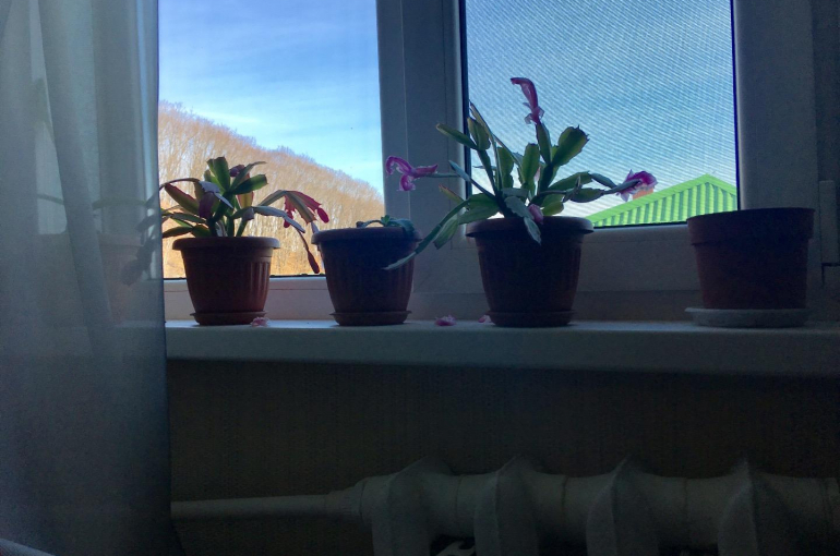 Продается часть жилого дома. Район Ленинской.