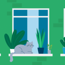 Новости недели: 11 — 18 сентября 2020