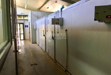 Аренда Цех по приготовлению салатов на Ленинской 